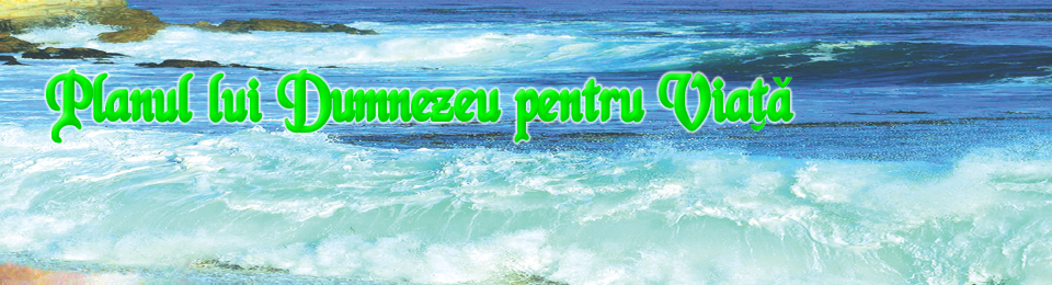 headerwaves